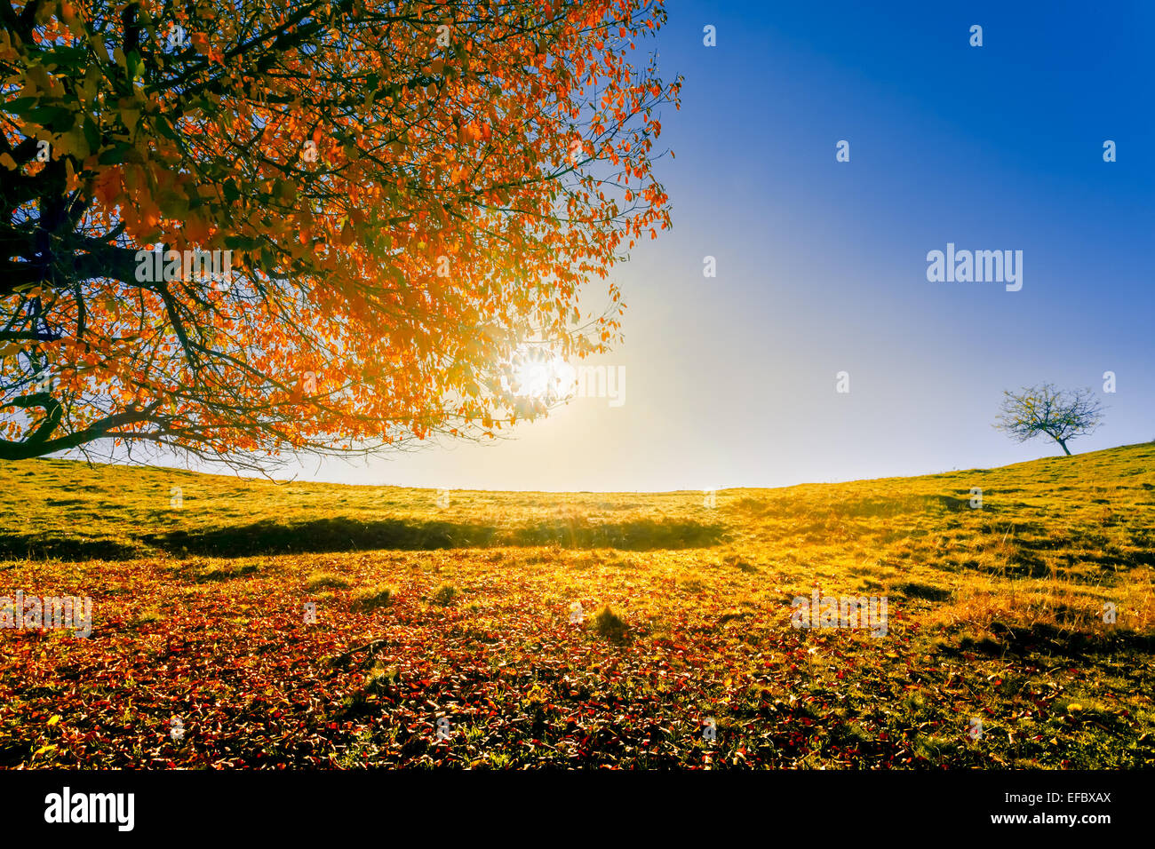 Colorful autumn landscape Stock Photo - Alamy