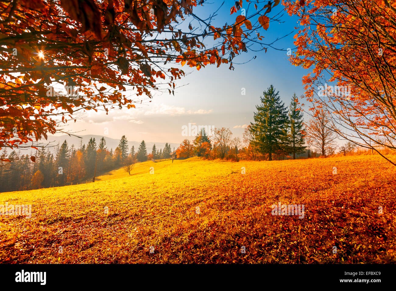 Colorful autumn landscape Stock Photo - Alamy