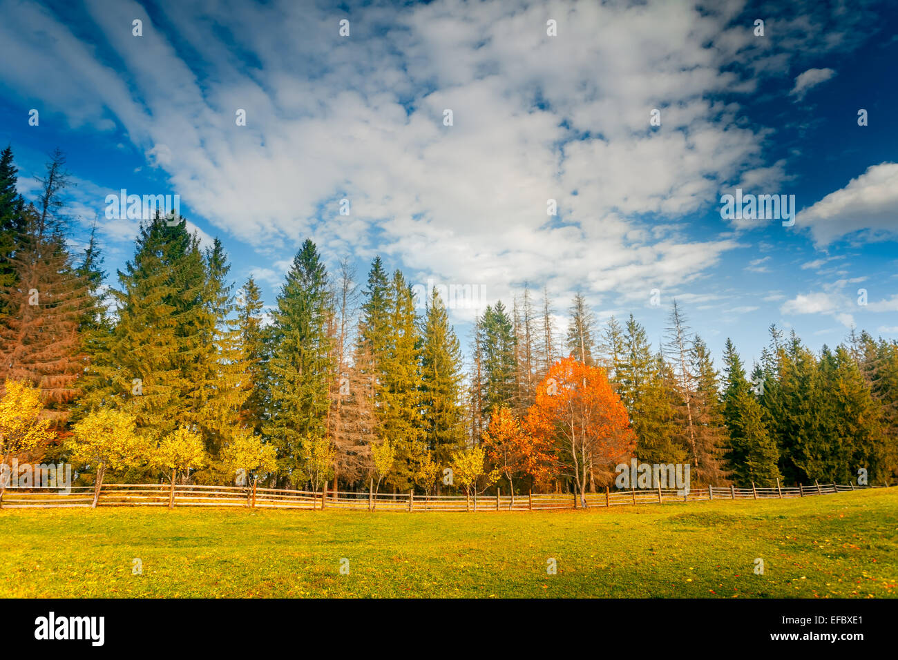 Colorful autumn landscape Stock Photo - Alamy