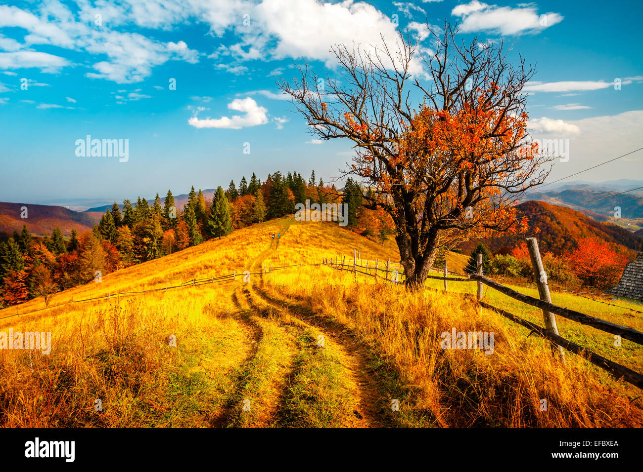 Colorful autumn landscape Stock Photo - Alamy