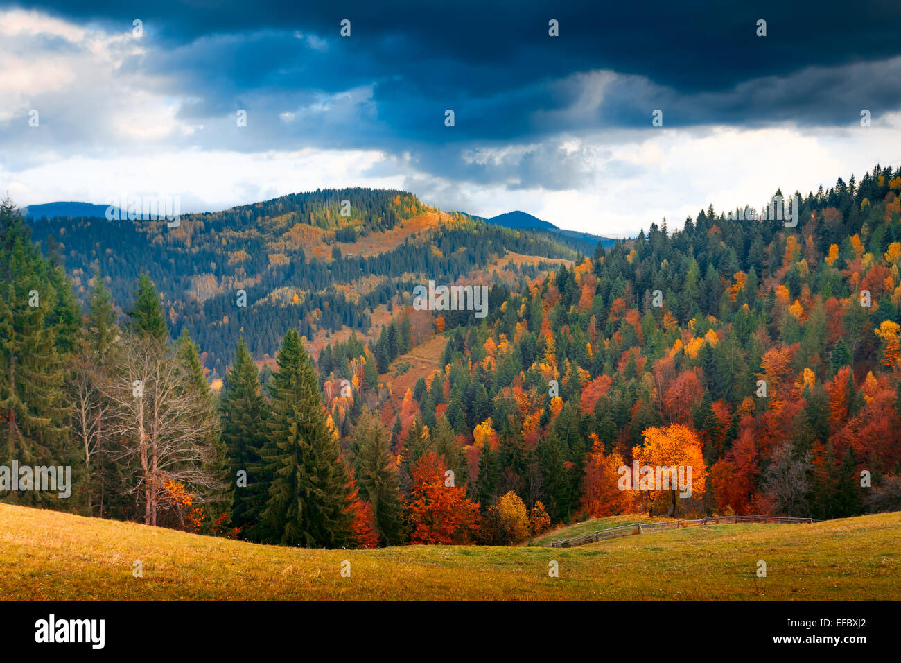 Beautiful autumn landscape bright hi-res stock photography and images ...