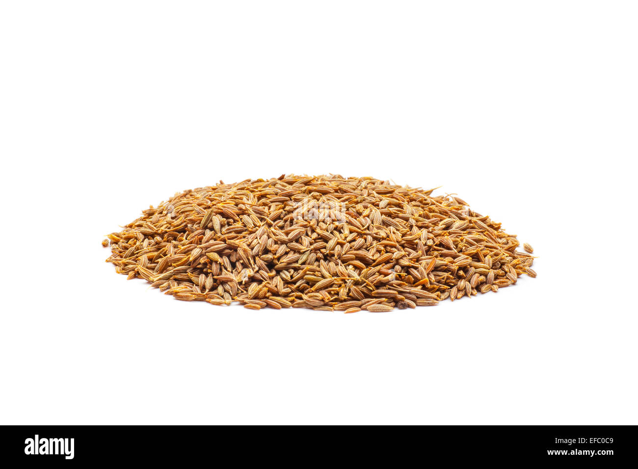 grains of wheat Stock Photo