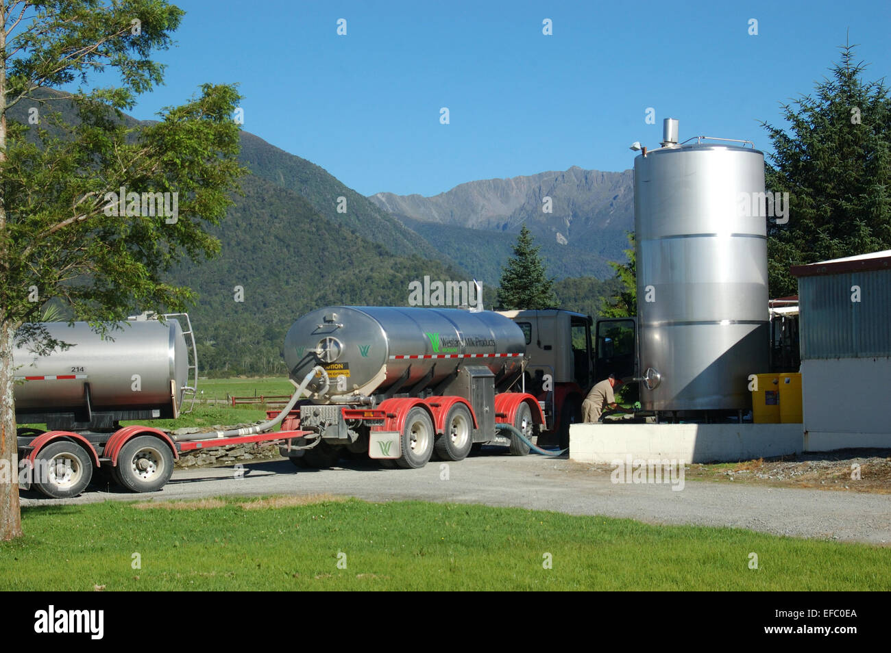 A milk tanker from the Westland Milk Farmers Cooperative collects milk