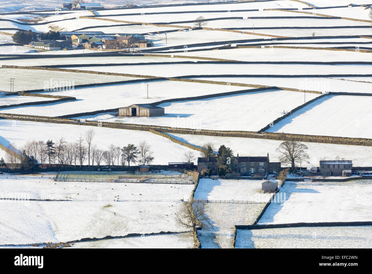 Nidderdale farms, fields and dry stone walls in mid-winter, North Yorkshire. Stock Photo