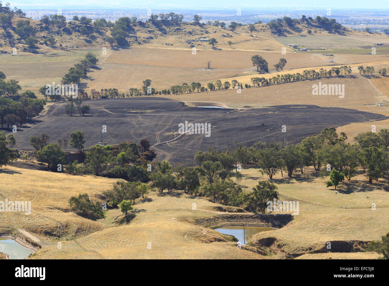 A photograph of the aftermath of a bush fire on a dry Australian farm in central western NSW. Stock Photo