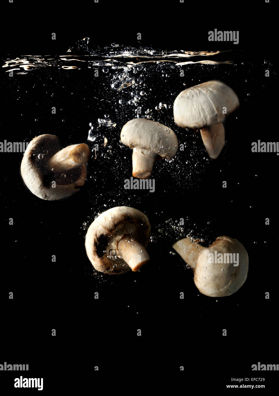 Mushrooms in boiling water on a white background with space for your text Stock Photo
