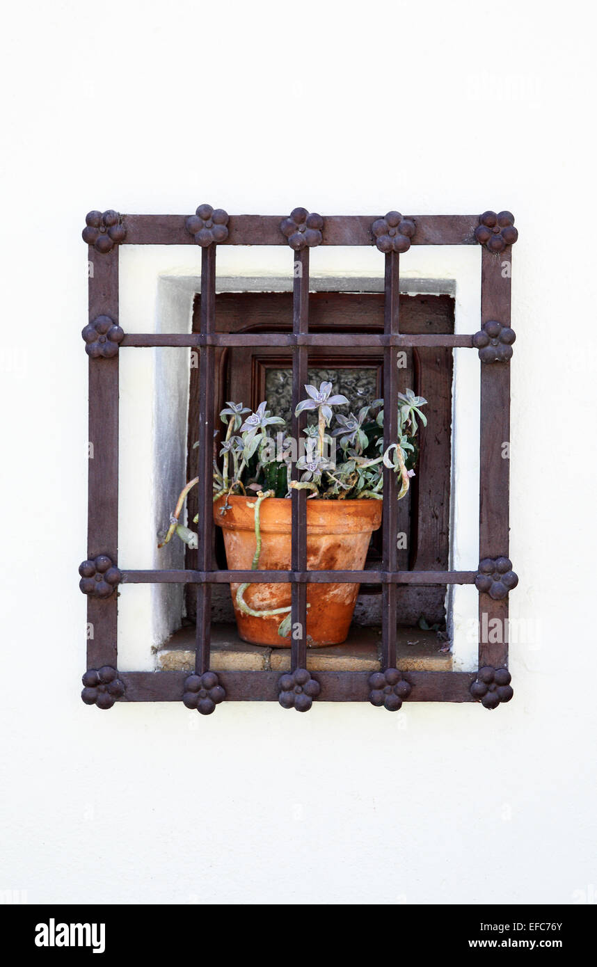 Jail cell flower hires stock photography and images Alamy