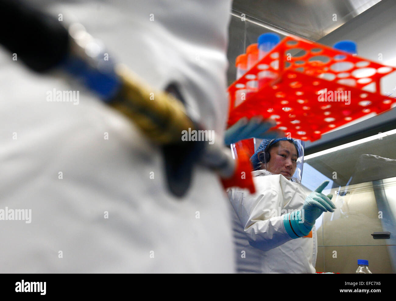 Wuhan, China's Hubei Province. 30th Jan, 2015. A researcher takes part in a drill at the newly-completed lab in Wuhan, capital of central China's Hubei Province, Jan. 30, 2015. China completed its first high level biosafety laboratory based in Wuhan Saturday in Wuhan after more than a decade of construction. The lab will be used to study class four pathogens (P4), which refers to the most virulent viruses that pose a high risk of aerosol-transmitted person-to-person infections. © Yin Gang/Xinhua/Alamy Live News Stock Photo