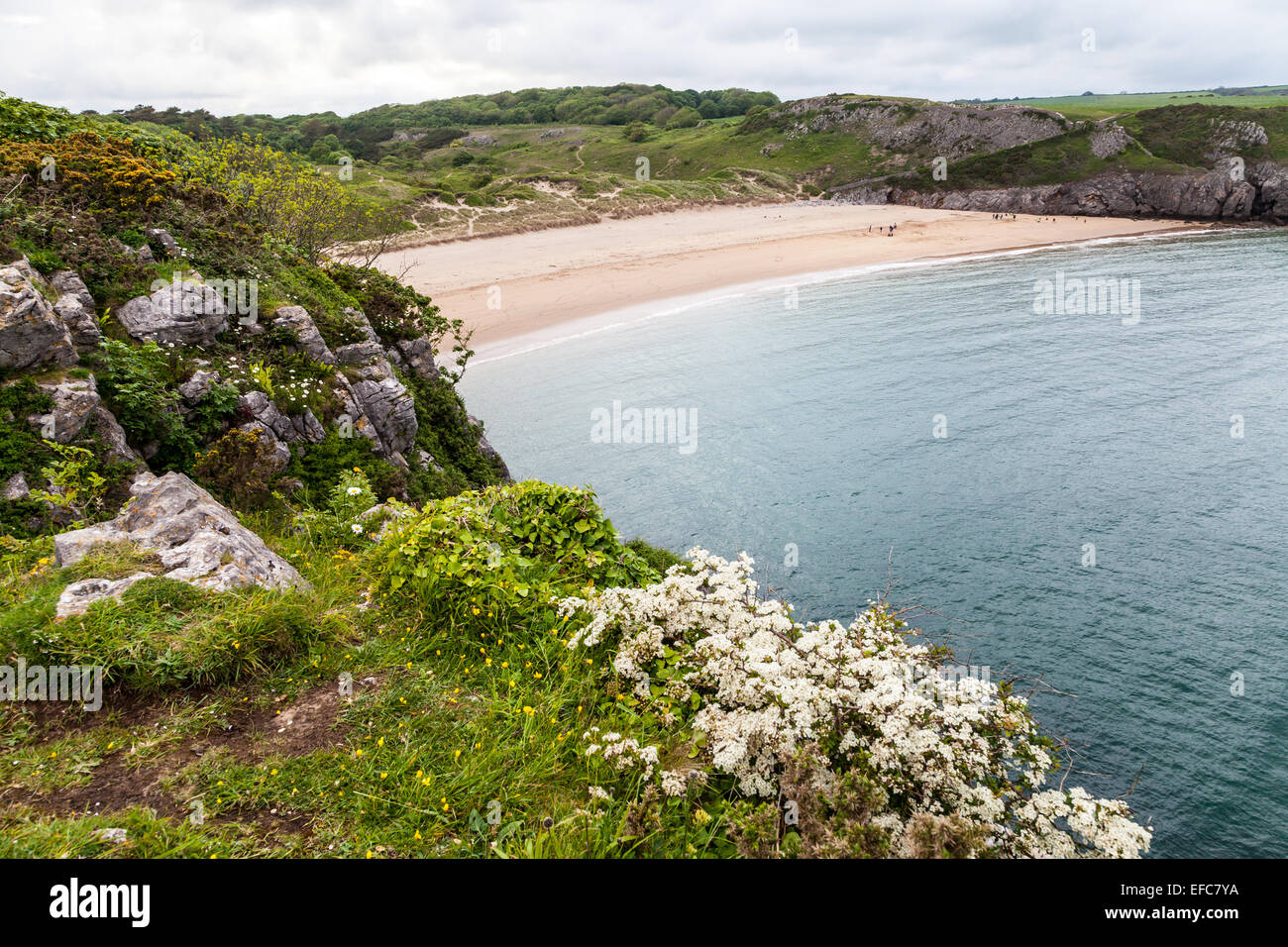 Pembrokeshire coast barafundle hi-res stock photography and images - Alamy