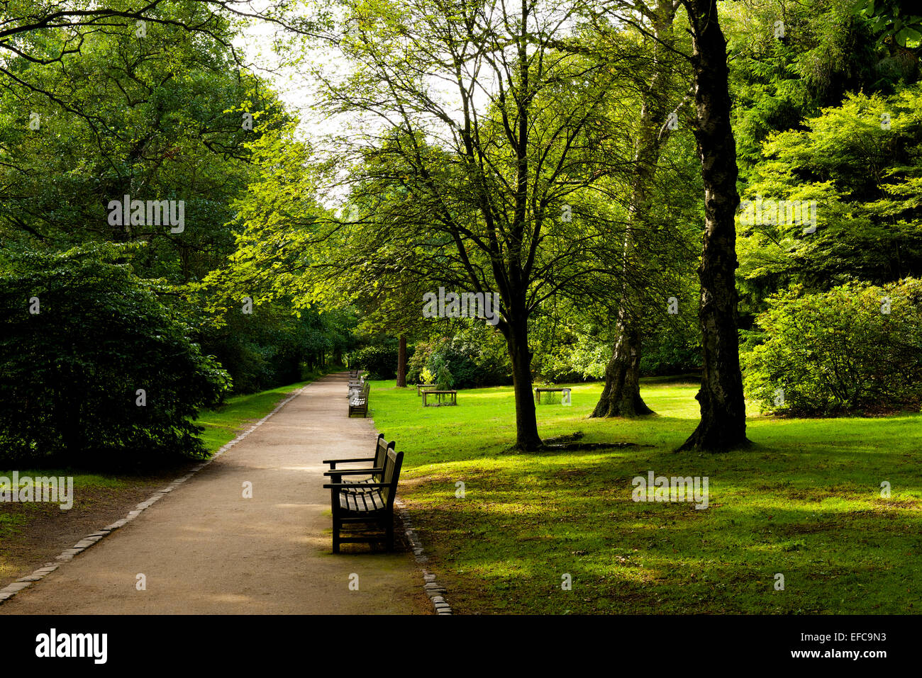 Golden acre park hi-res stock photography and images - Alamy