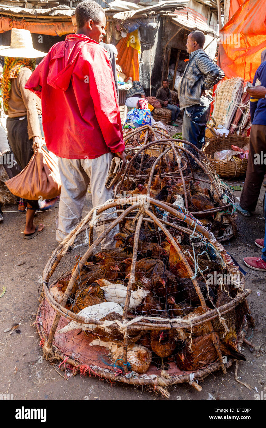 Live Chickens For Sale In The Merkato, Addis Ababa, Ethiopia Stock