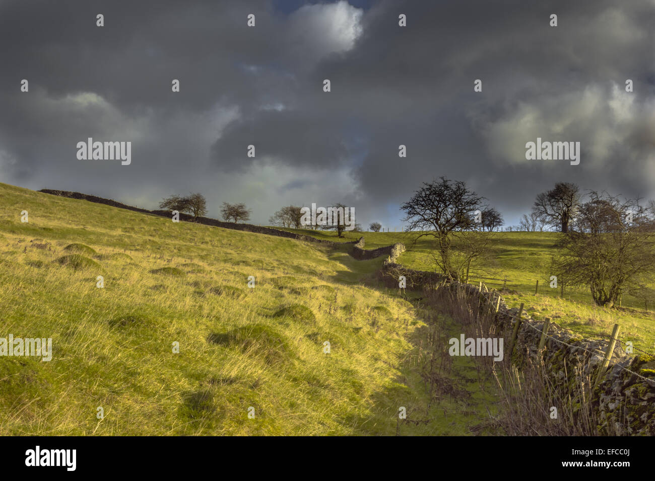 Walled in - Farmland in Dovedale, Peak District Stock Photo