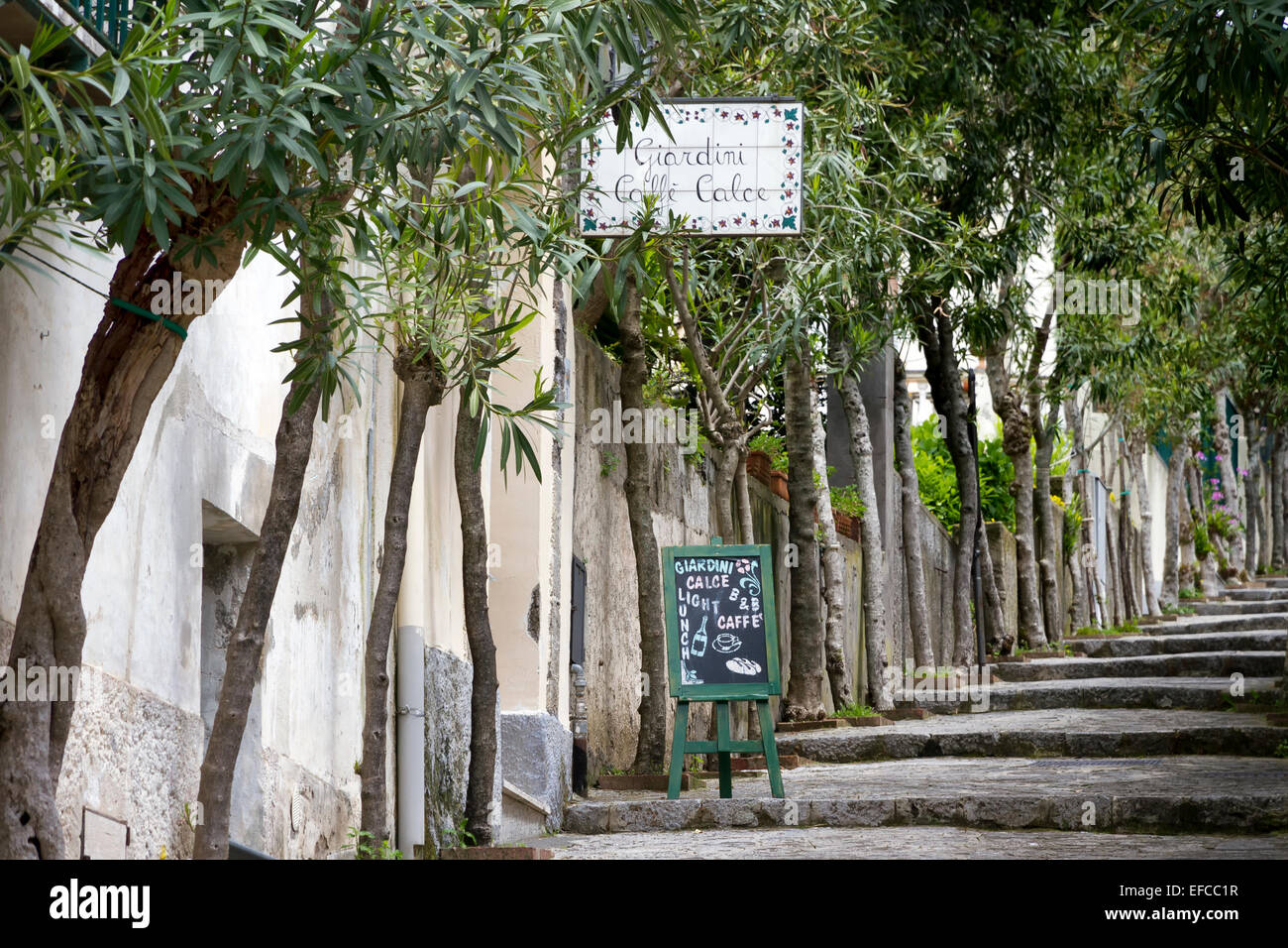 Olive tree-lined Via Wagner in Ravello on the Amalfi coast in Italy Stock Photo