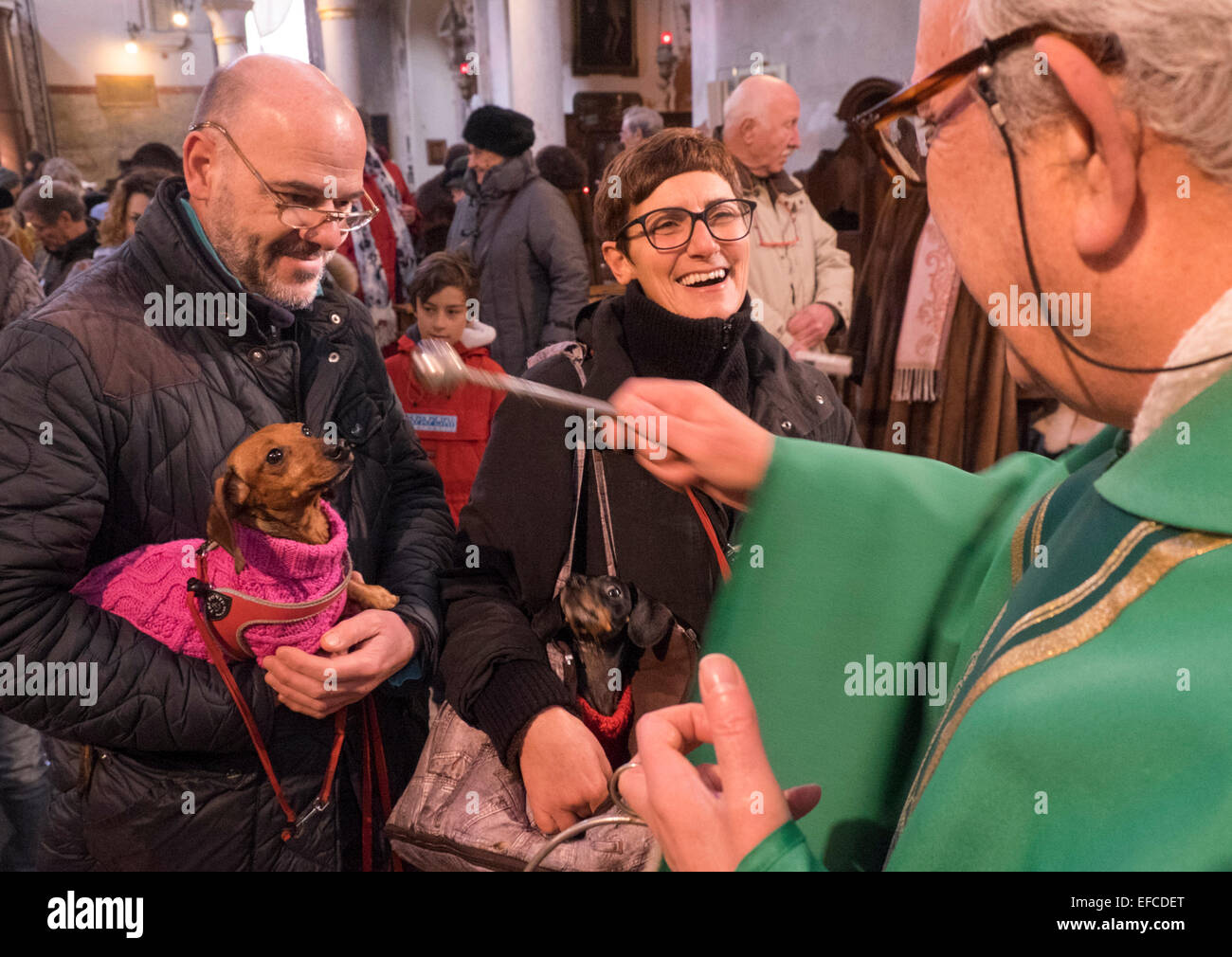 Owners with their pets  attend a special service  with a blessing animals, Church of S Giovanni Battista, Venice , Italy Stock Photo