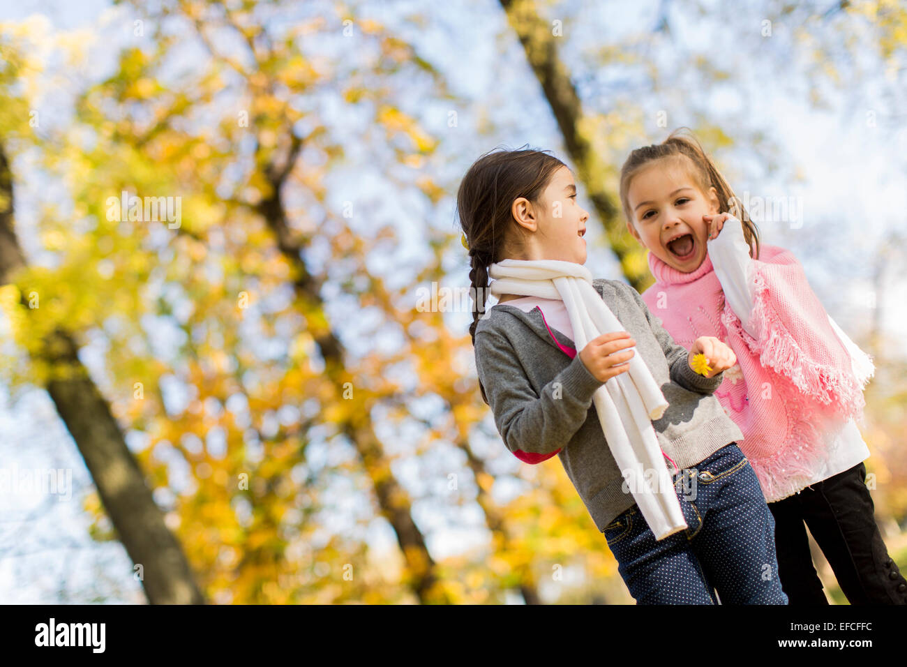 Cute little girls in the autumn park Stock Photo - Alamy