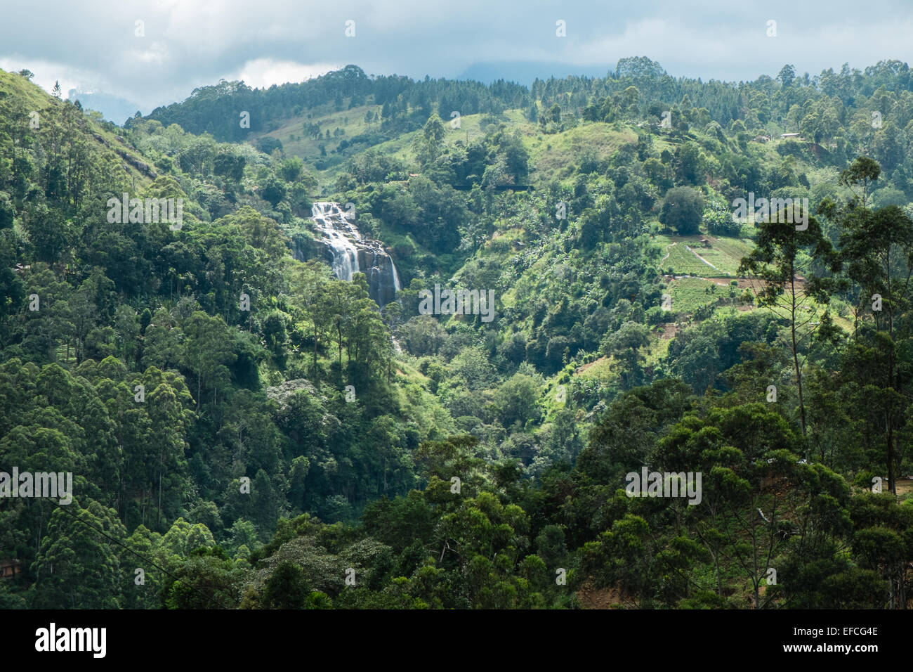 At town of Ella in Highlands of Sri Lanka. Famed for tea plantations and for hiking and green scenery.Little Ravana Waterfall. Stock Photo