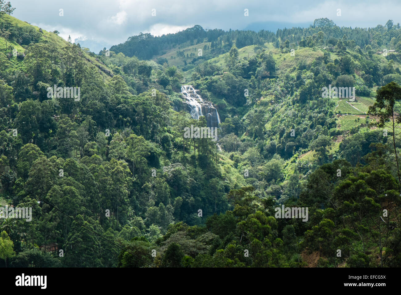 At town of Ella in Highlands of Sri Lanka. Famed for tea plantations and for hiking and green scenery.Little Ravana Waterfall. Stock Photo