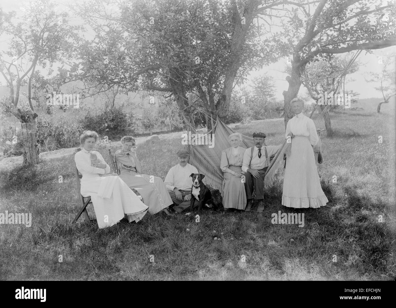 Antique 1903 photograph, family group under apple trees in Troy, New Hampshire, USA. Stock Photo