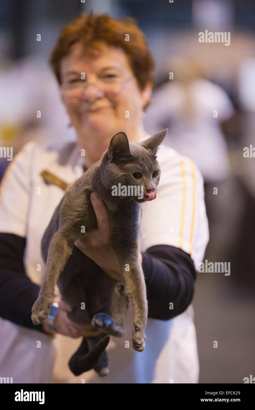 A stewart holds up a cat during the judging process. The 37th Supreme