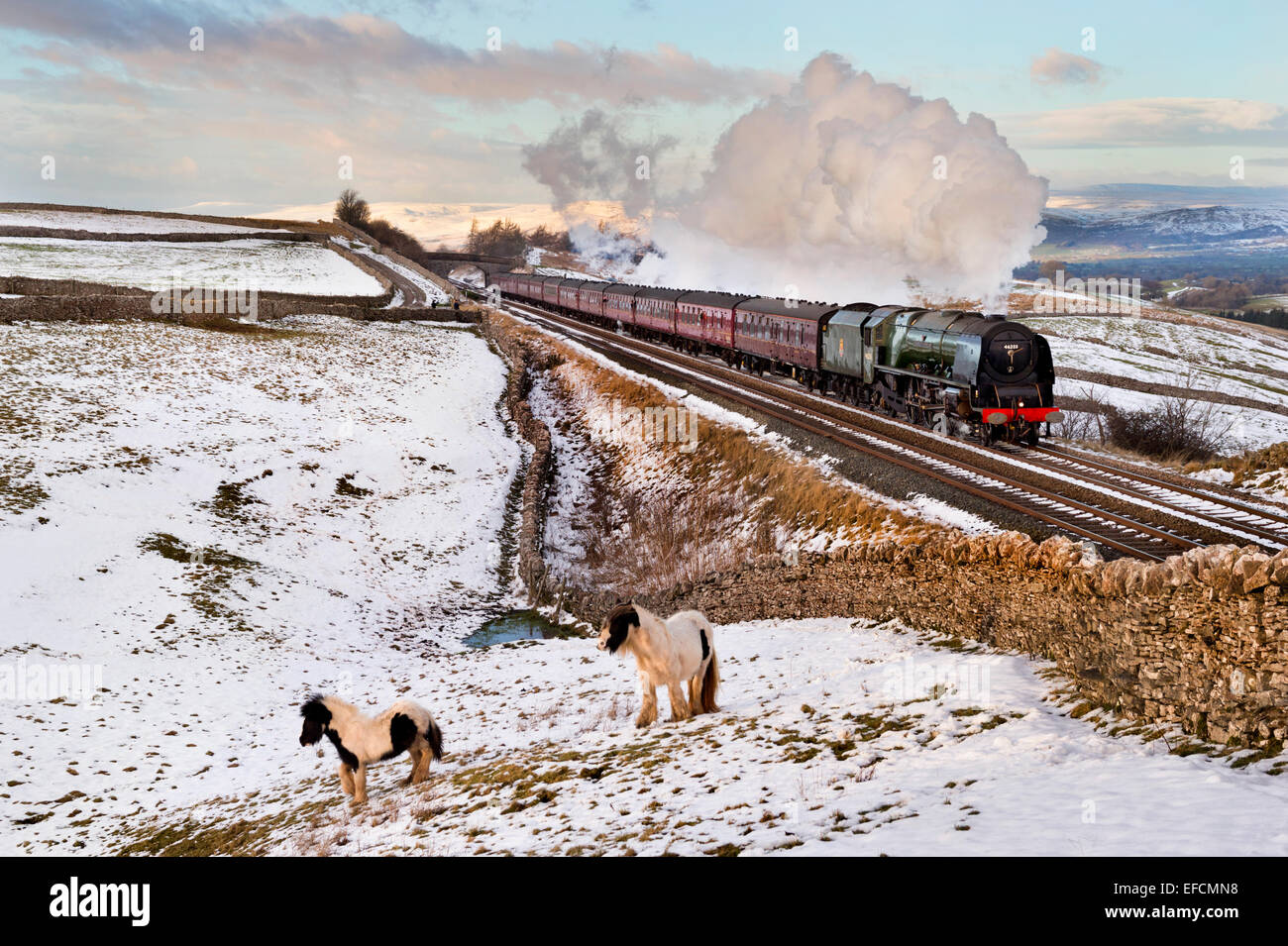 Kirkby Stephen, Cumbria, UK. 31st Jan, 2015. The Duchess of Sutherland steam locomotive pulls a special Winter Cumbian Mountain Express over a snowy landscape, heading south from Carlisle Stock Photo