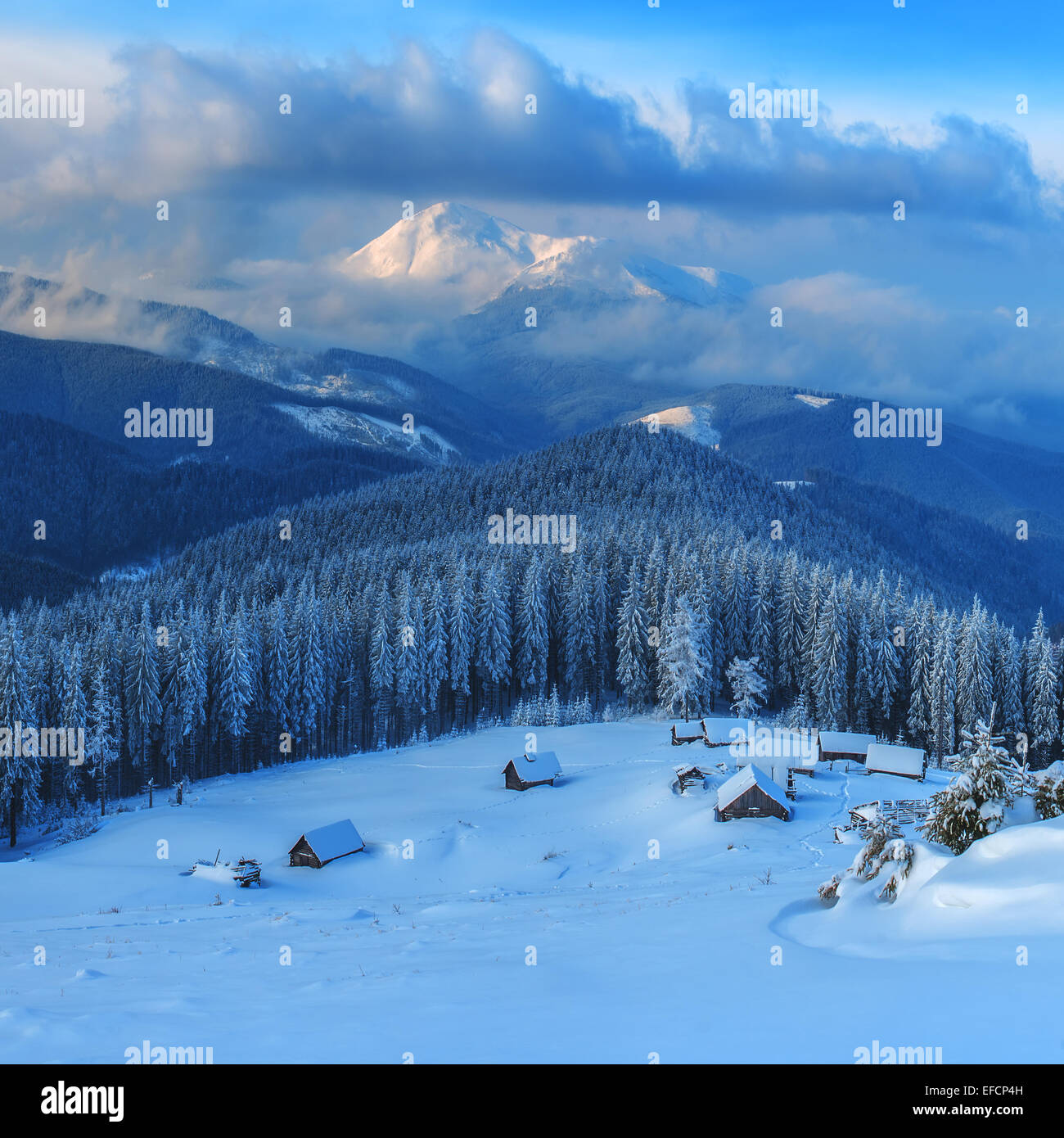 wooden house in winter forest Stock Photo - Alamy