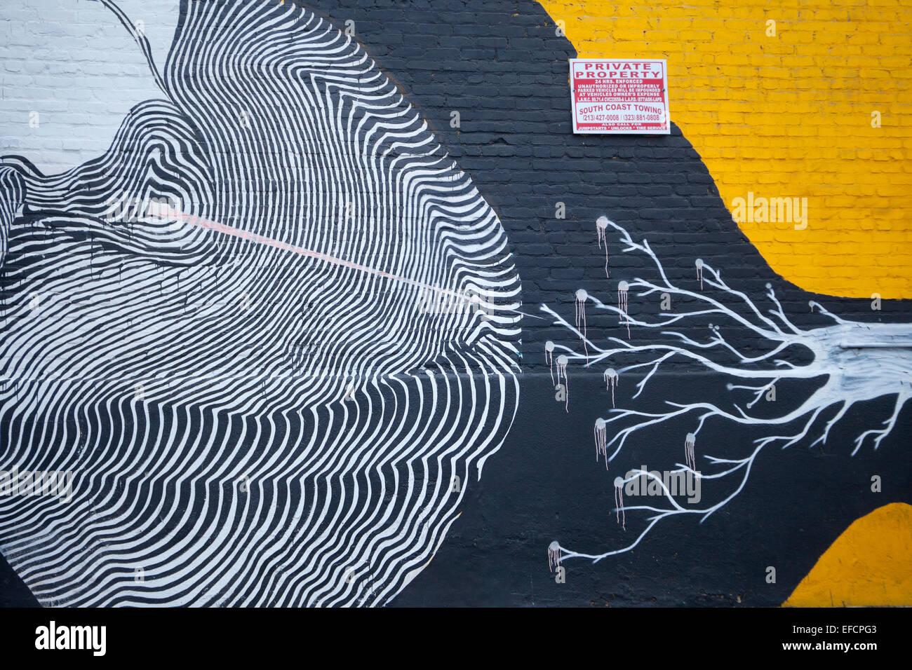 Street art, downtown Los Angeles, California Stock Photo Alamy