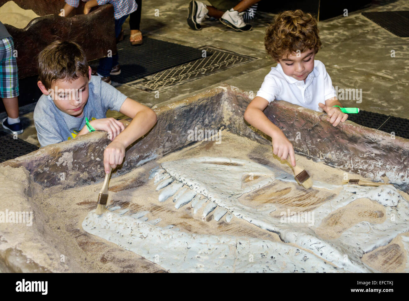 Miami Beach Florida,Convention Center,centre,Discover the Dinosaurs,life-like,hands-on,male boy boys kids children brushing off sand,archeological dig Stock Photo