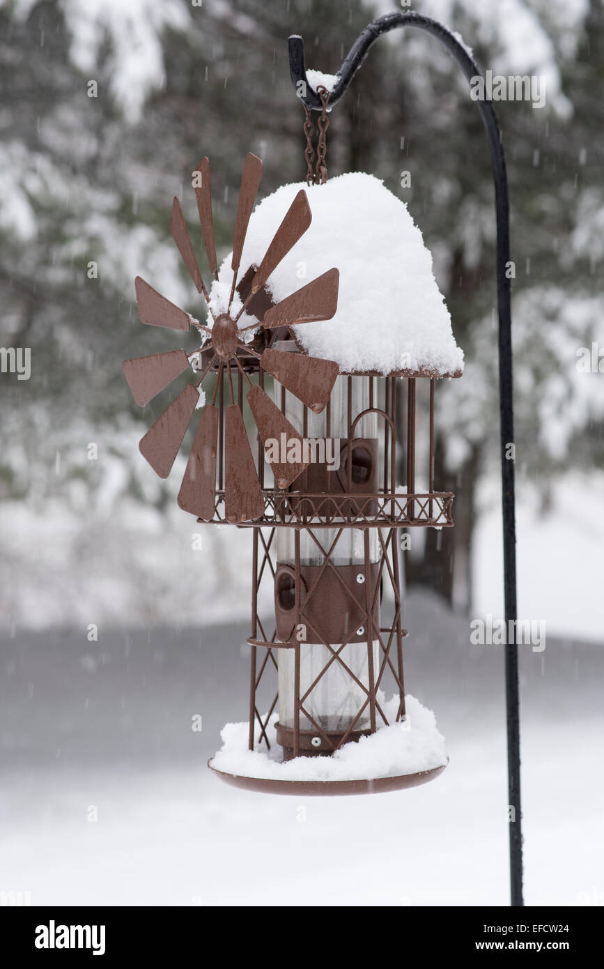 New bird feeder hires stock photography and images Alamy