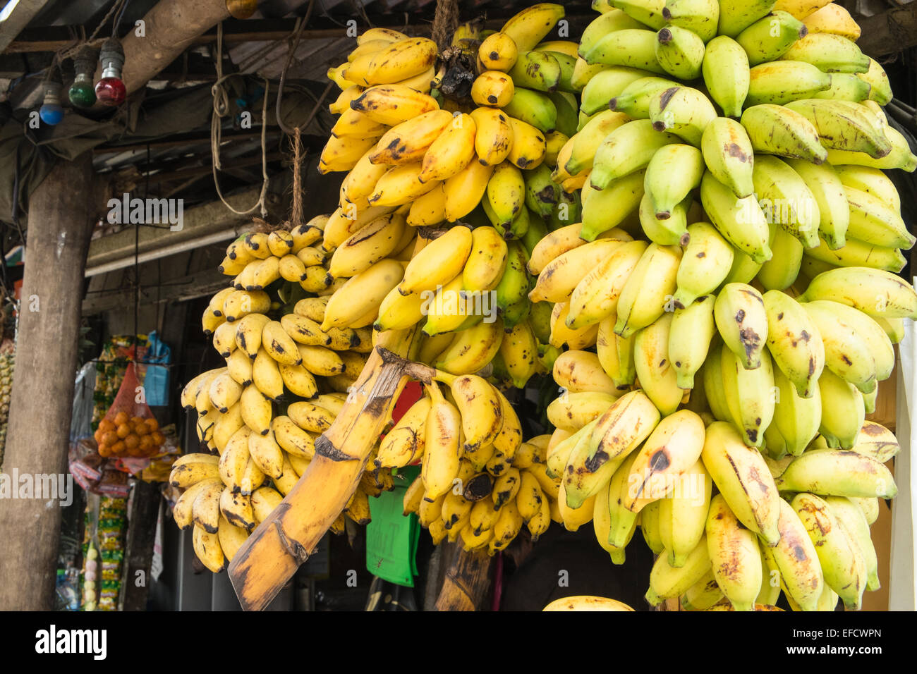 At town of Ella in Highlands of Sri Lanka.High Street general store shop selling fresh fruit. Banana,bananas,Food,pineapple, Stock Photo