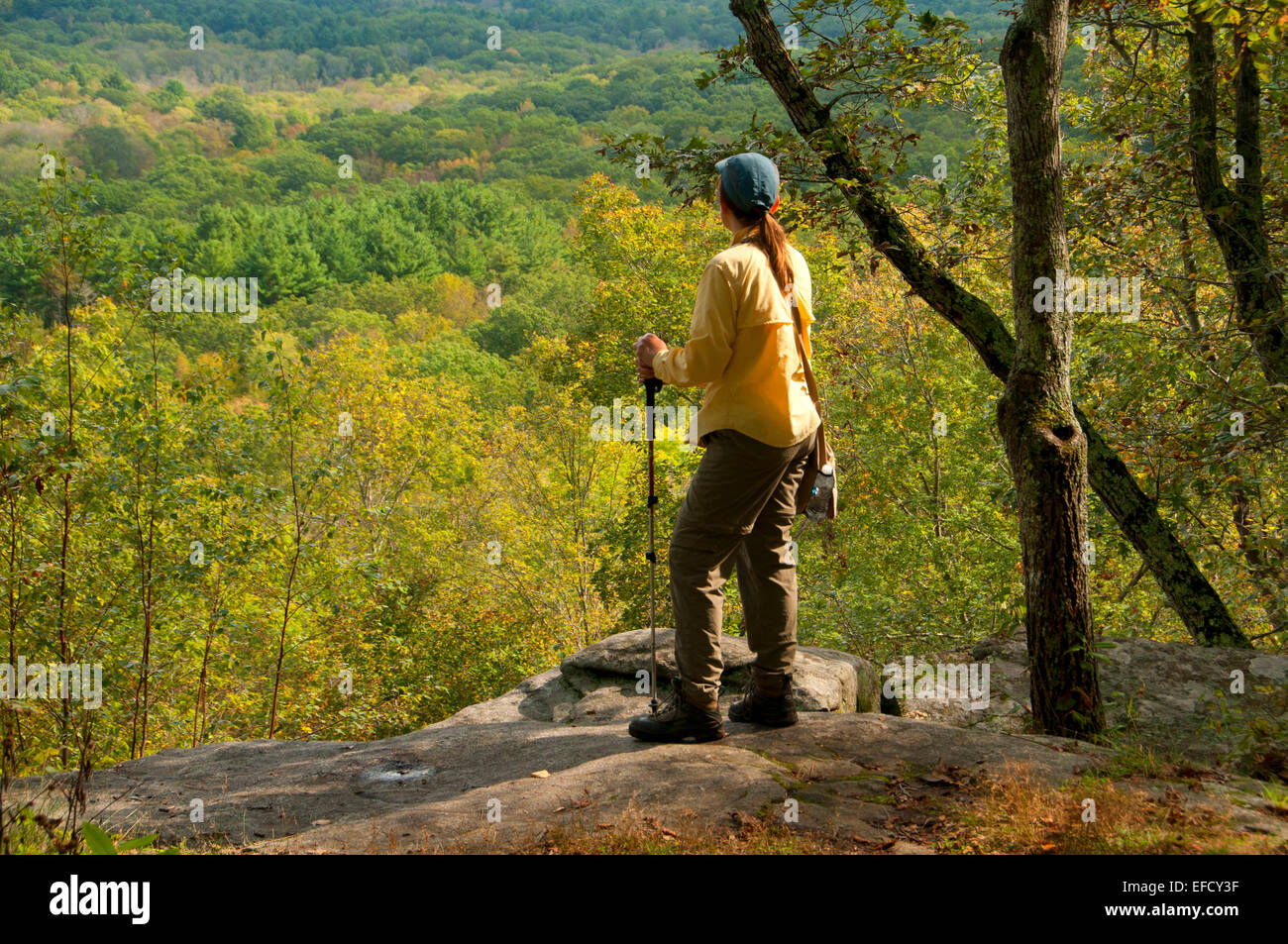 View from 50Foot Rock along Nipmuck Trail, Mansfield, Connecticut