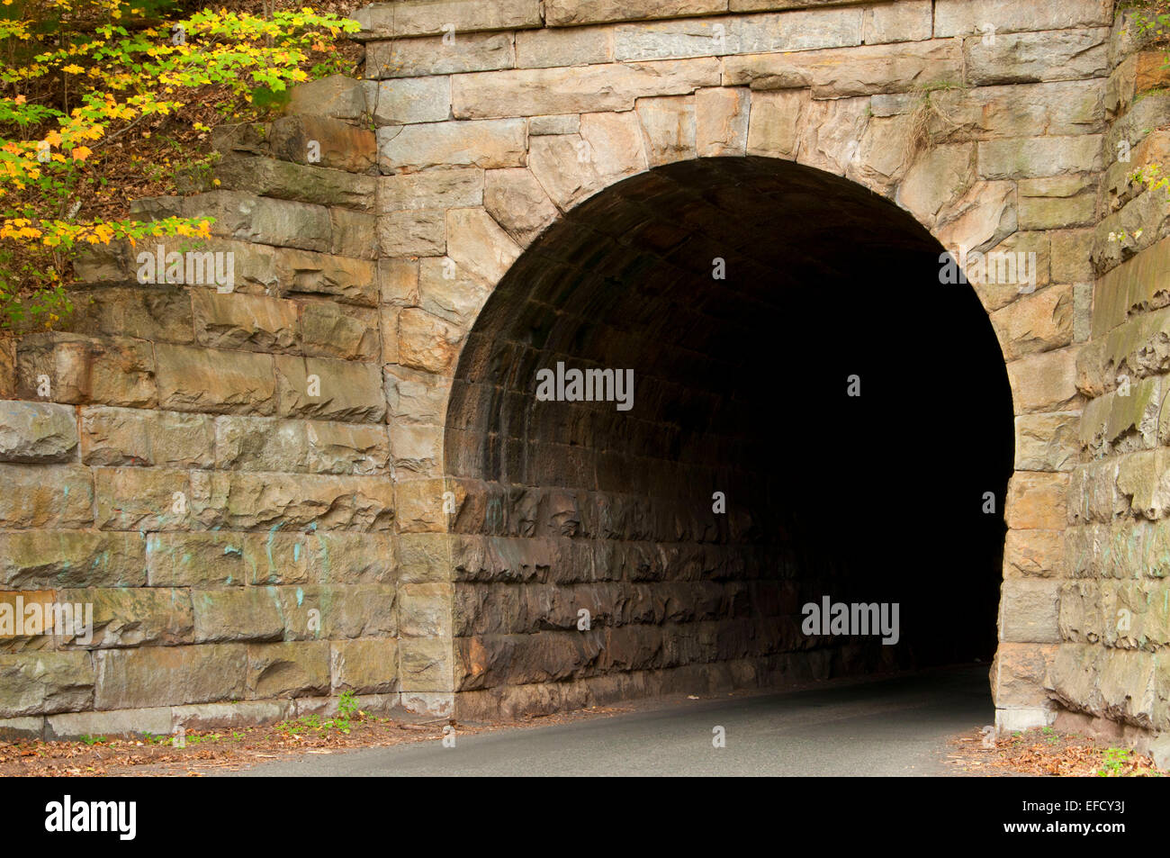 Tunnel Road Tunnel, Hop River State Park Trail, Connecticut Stock Photo