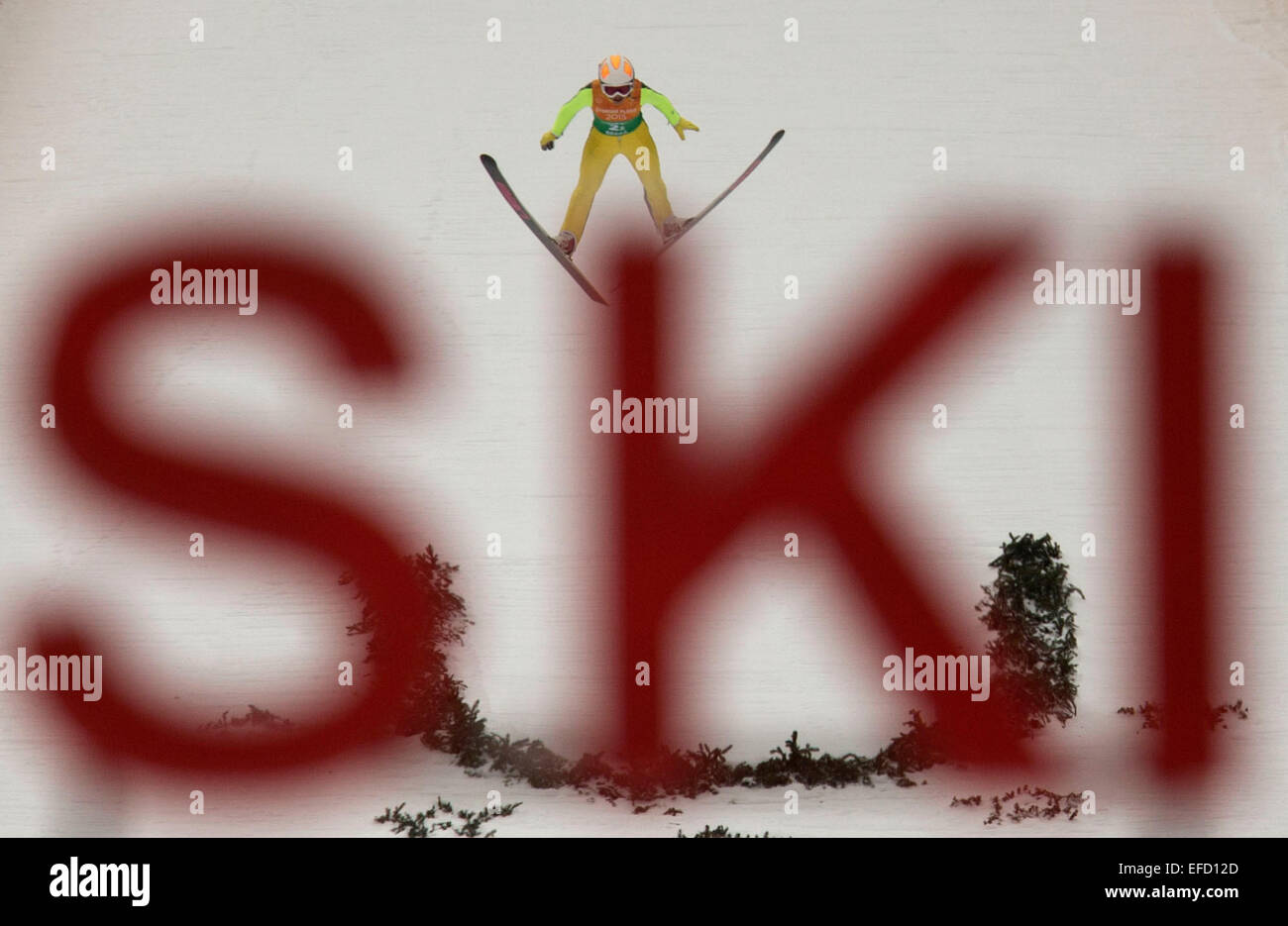 Beijing, Slovakia. 29th Jan, 2015. Li Xueyao of China competes during the ski jumping ladies'team final at 2015 Winter Universiade in Strbske Pleso, Slovakia, Jan. 29, 2015. China took the 4th place with 283.4 points. © Fei Maohua/Xinhua/Alamy Live News Stock Photo