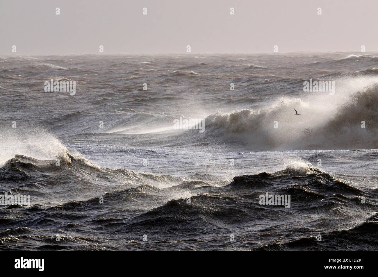 Rough sea with large waves and spray UK Stock Photo