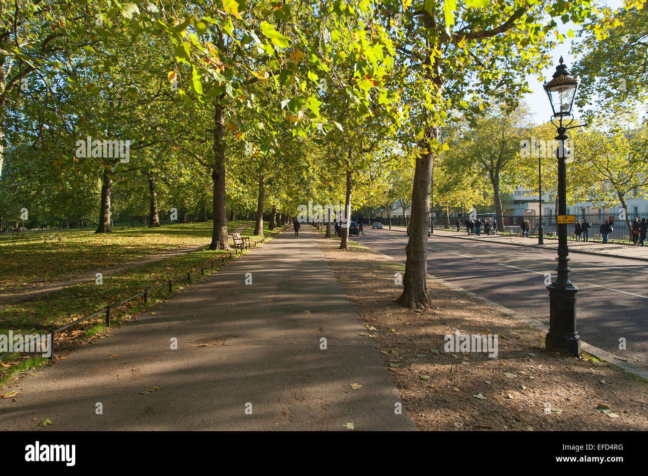 Autumn foliage and dappled sunlight on Birdcage Walk in central London Stock Photo