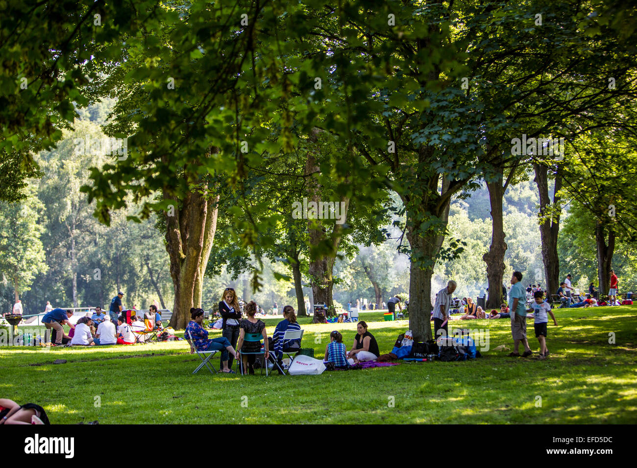 Park at the banks of river Ruhr Essen, Germany, recreational area in summer, BBQ place, Stock Photo