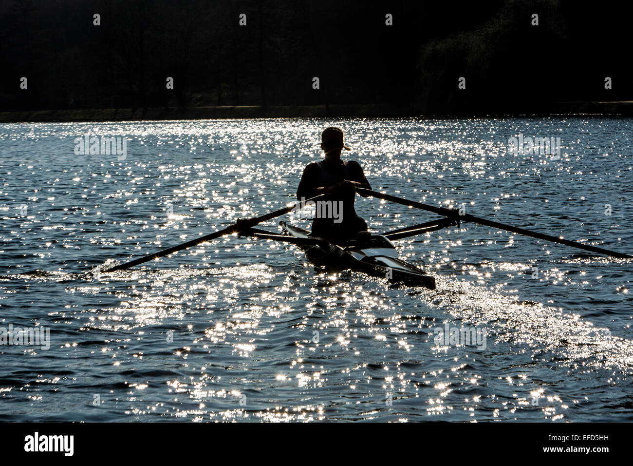 Water sports, at the Essen Baldeneysee, rowing training, Stock Photo