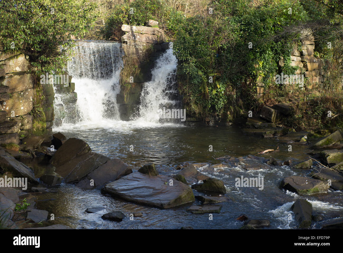 Penllergaer valley woods hi-res stock photography and images - Alamy