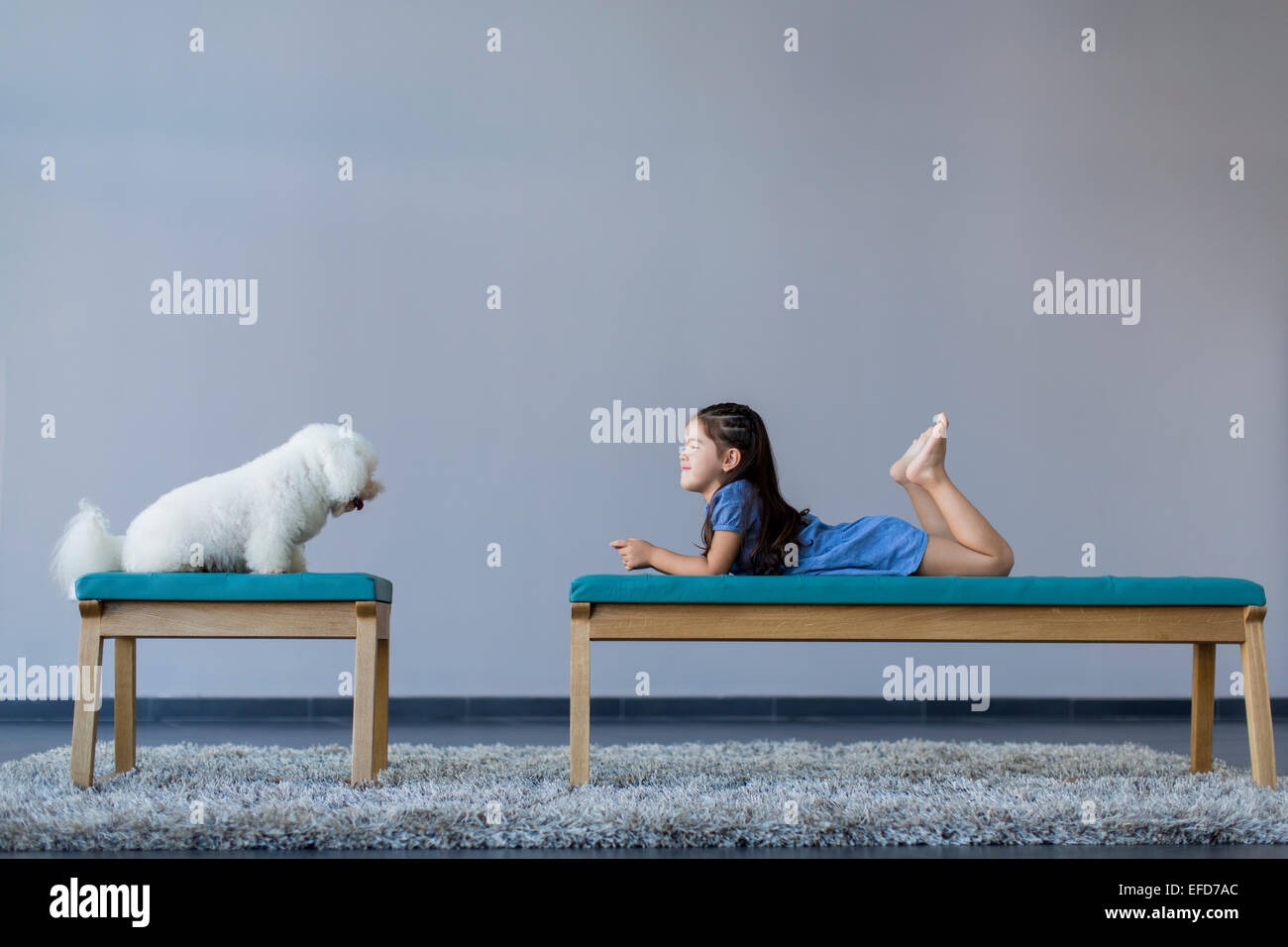 Little girl with a cute dog Stock Photo - Alamy