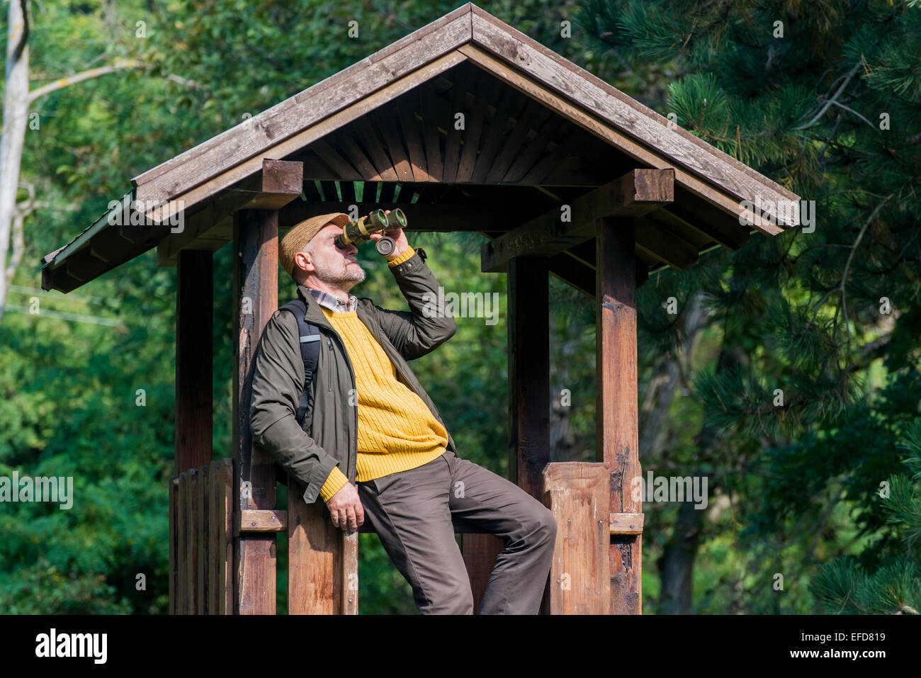 Senior man looking trough binoculars in the forest Stock Photo Alamy