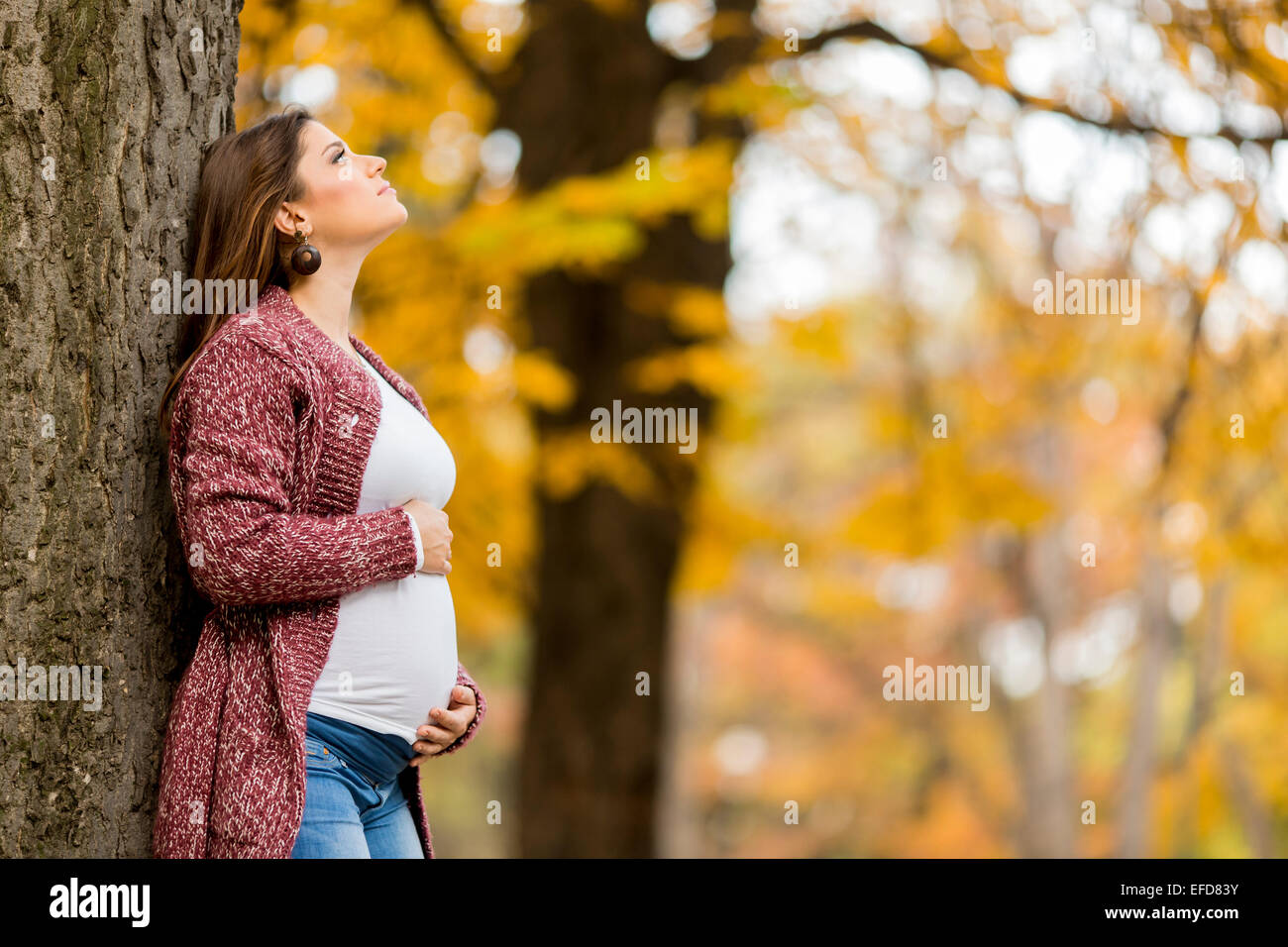 Young pregnant woman in the autumn park Stock Photo - Alamy