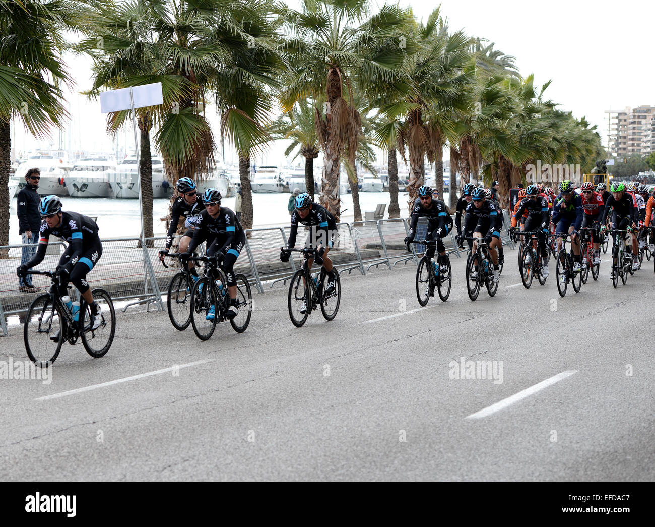 Cycling mallorca sky team hi res stock photography and images Alamy