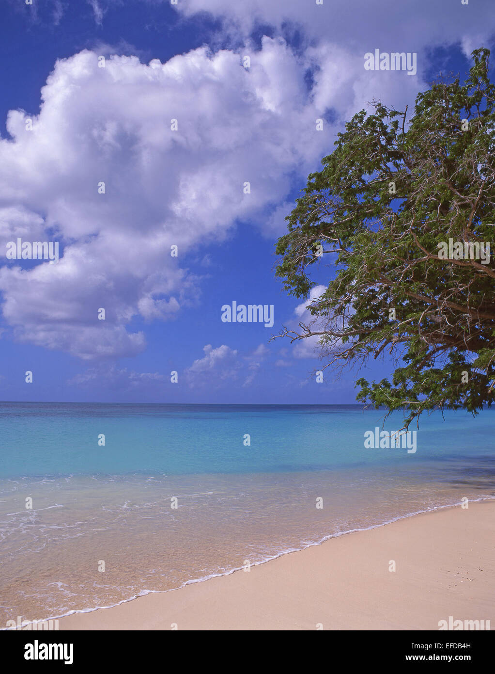 Darkwood Beach, Saint Mary’s Parish, Antigua, Antigua and Barbuda, Lesser Antilles, Caribbean Stock Photo