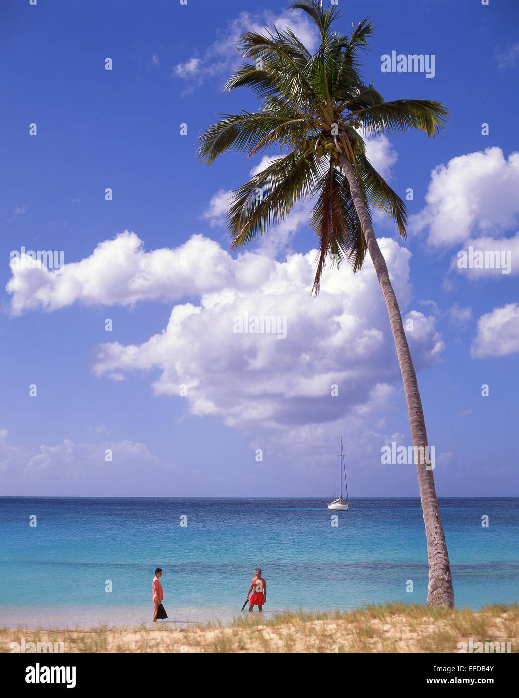 Darkwood Beach, Saint Mary’s Parish, Antigua, Antigua and Barbuda, Lesser Antilles, Caribbean Stock Photo
