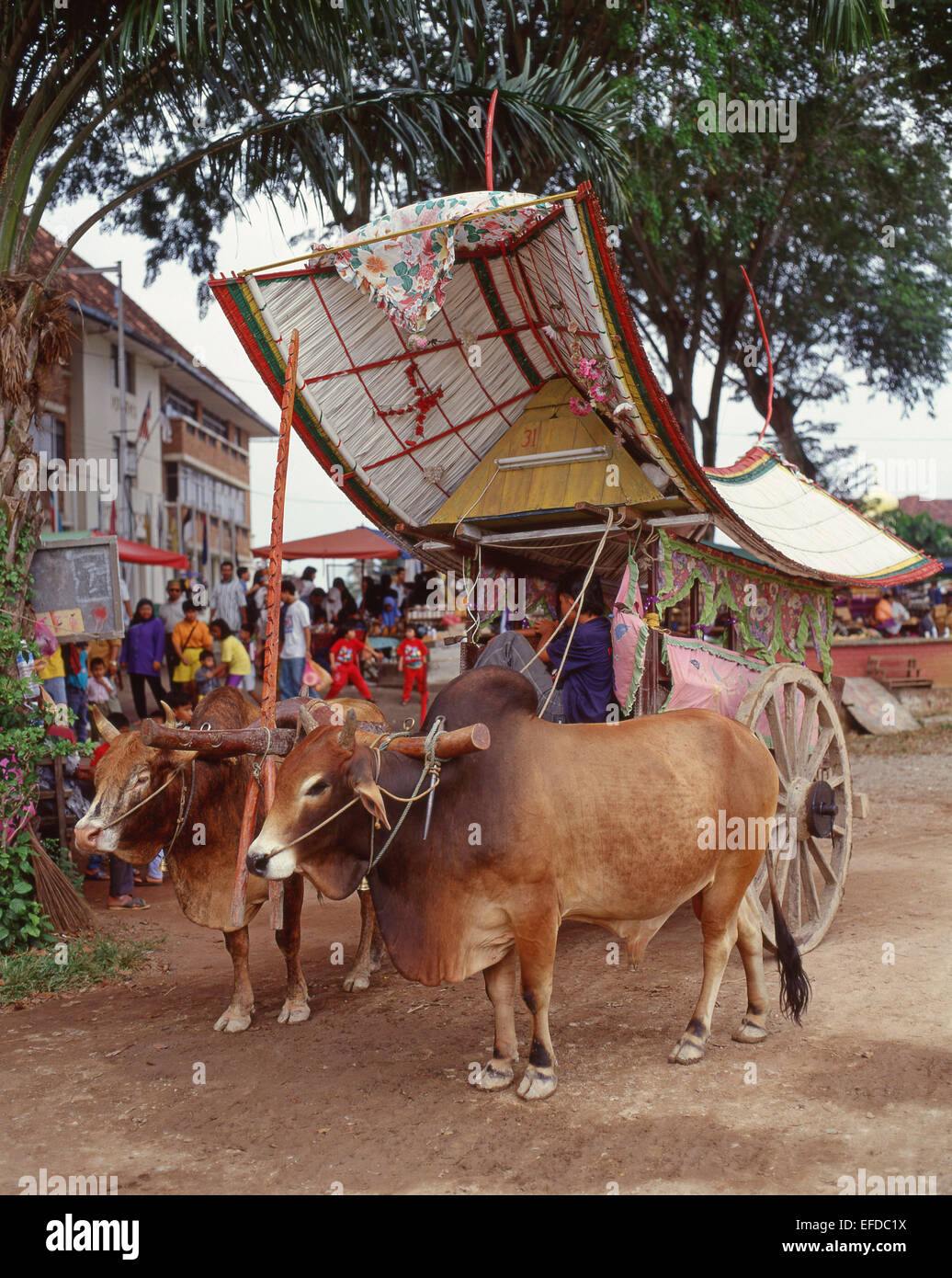 Traditional bullock cart, Malacca (Melaka) City, Central Malacca District, Malacca State, Malaysia Stock Photo