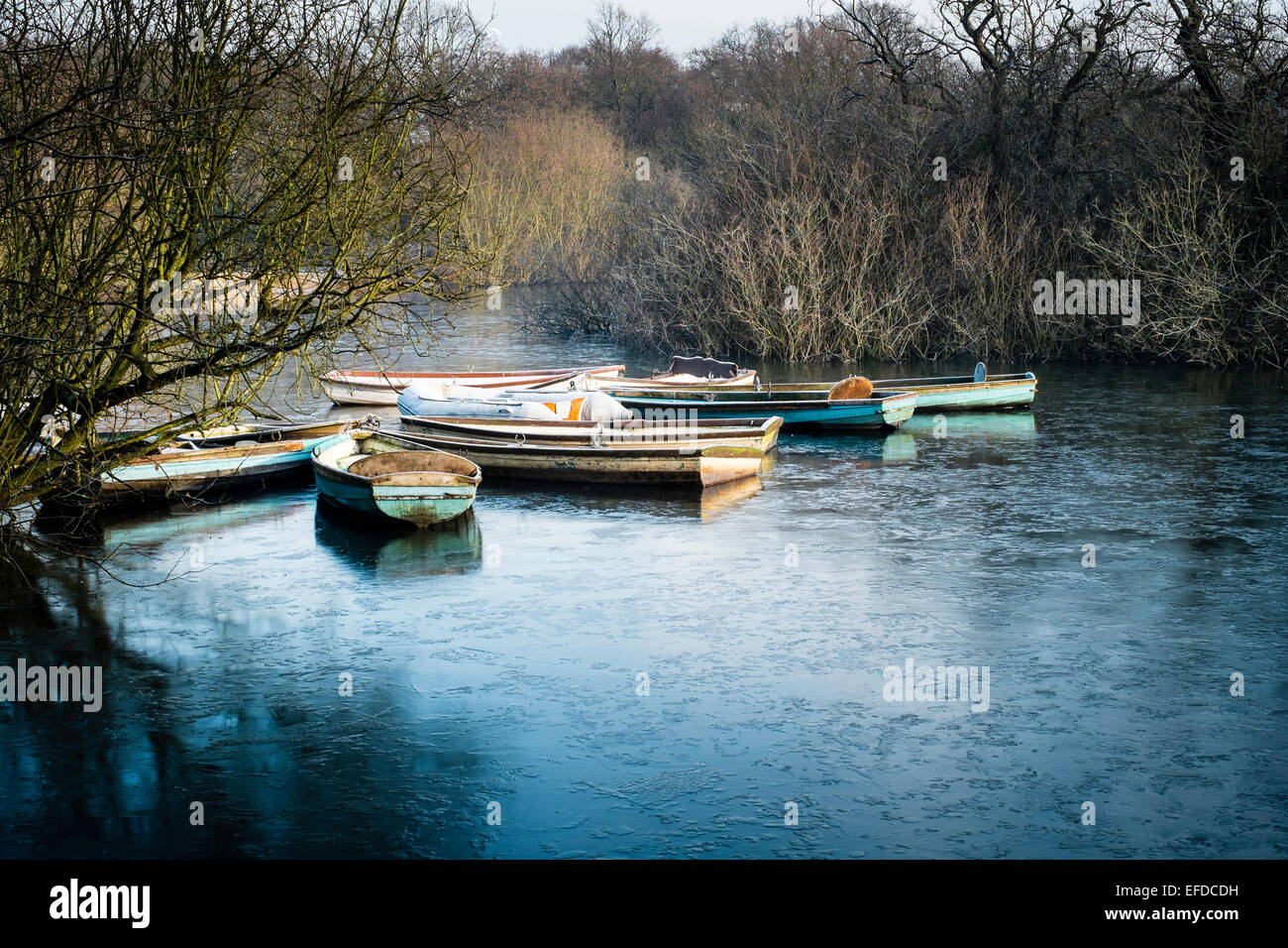 Hollow Pond, Epping Forest, London, United Kingdom Stock Photo