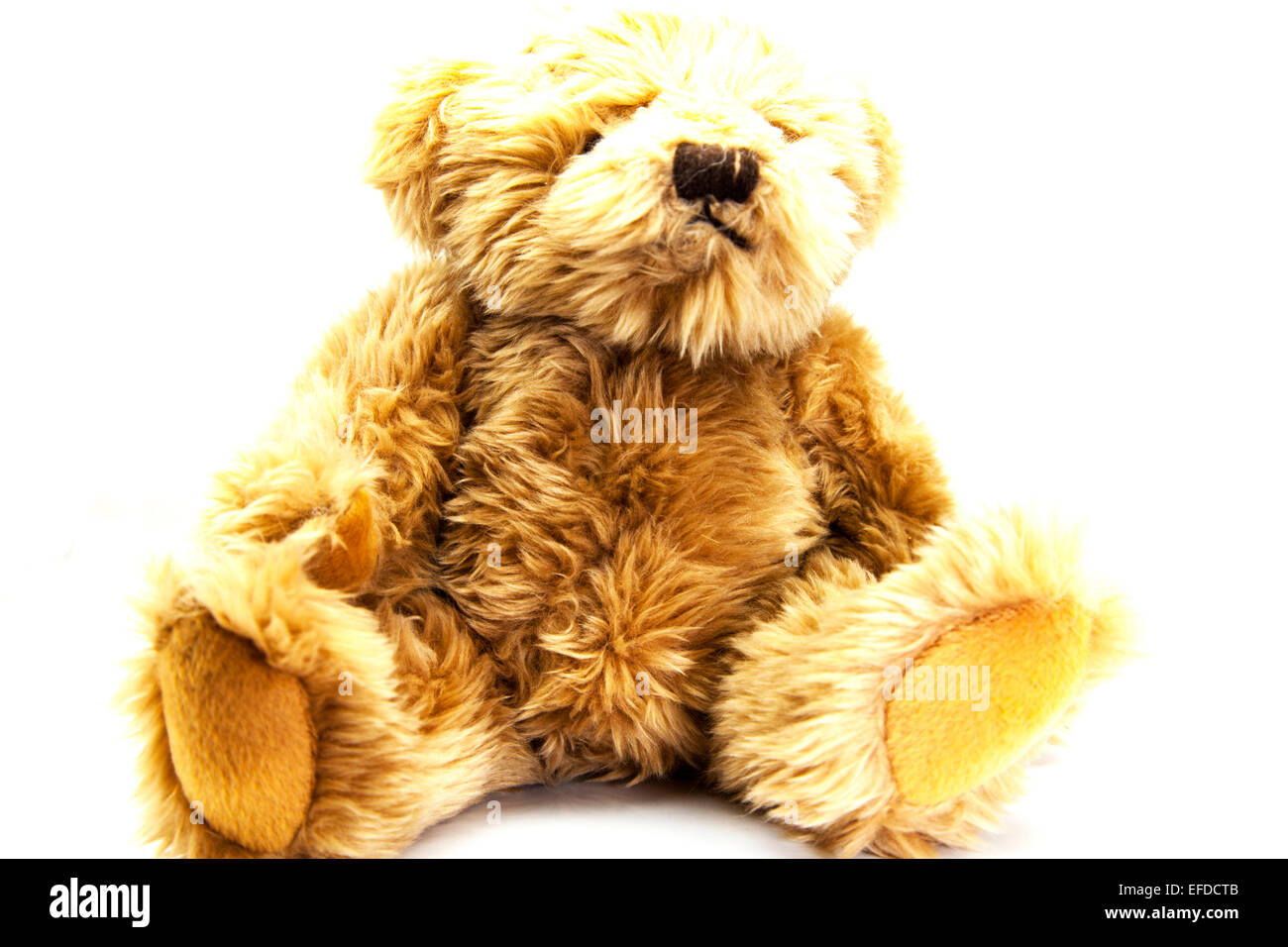 teddy bear cuddly toy sad brown animal sat sitting down cut out copy space white background Stock Photo