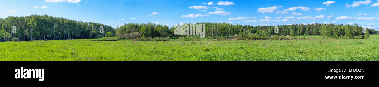 summer forest and blue cloudy sky panoramic Stock Photo - Alamy