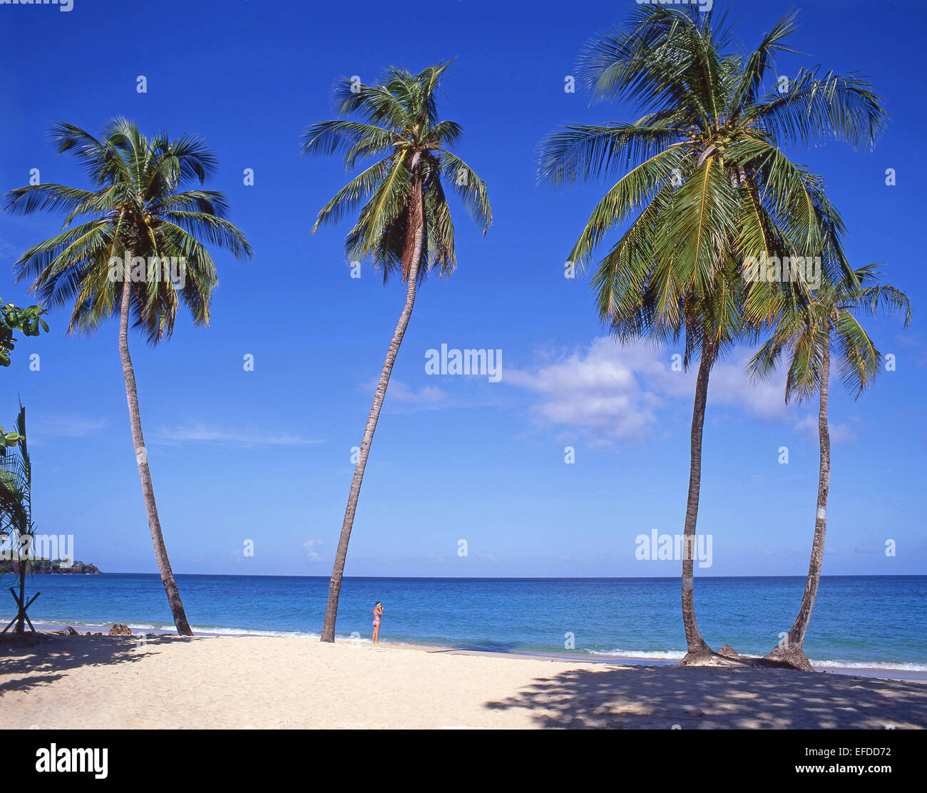 Tropical Beach, Grand Anse Bay, Saint George Parish, Grenada, Lesser ...