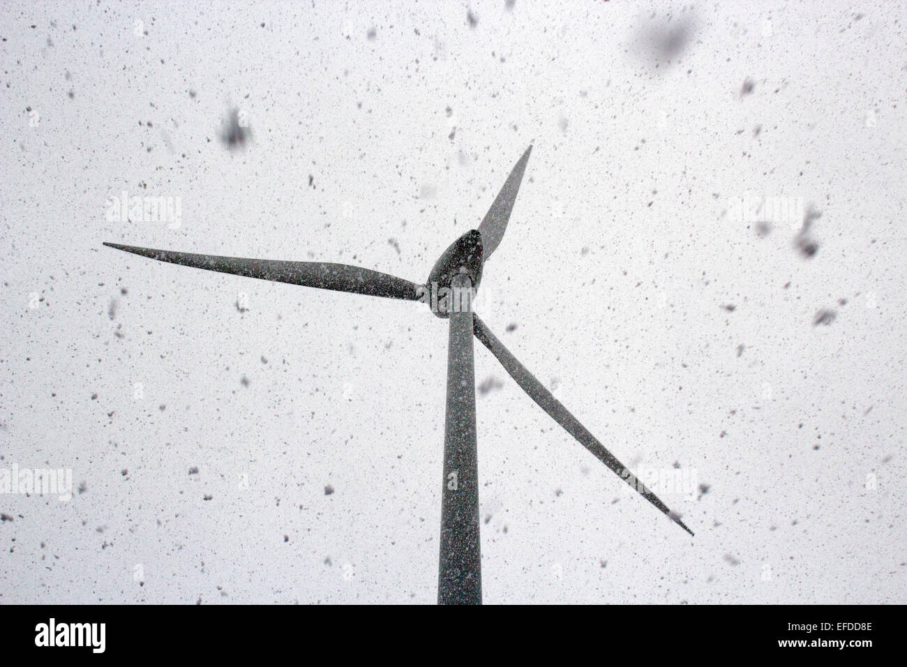Wind Turbine in the snow 31st Jan 2015 3pm Swaffham, Norfolk. - Stock Image