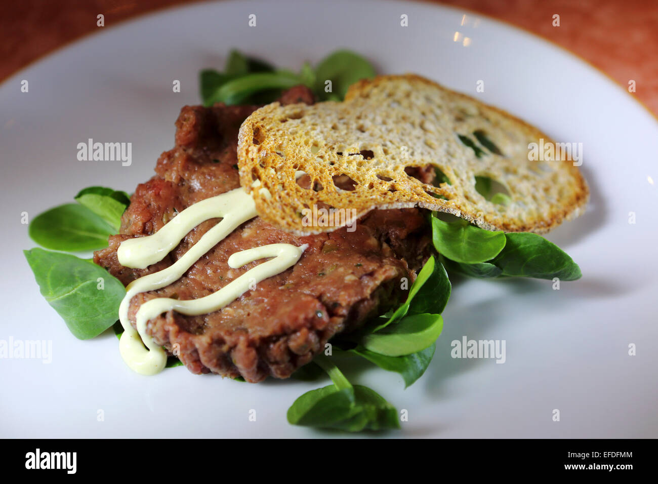 Steak Tartare served with toast in Milan, Italy. The dish has a salad